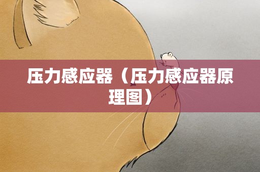 压力感应器（压力感应器原理图）