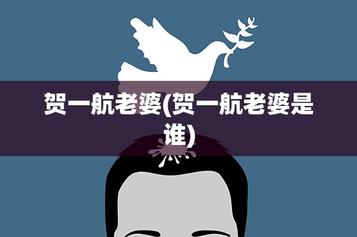 贺一航老婆(贺一航老婆是谁)