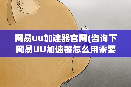 网易uu加速器官网(咨询下网易UU加速器怎么用需要付费吗)
