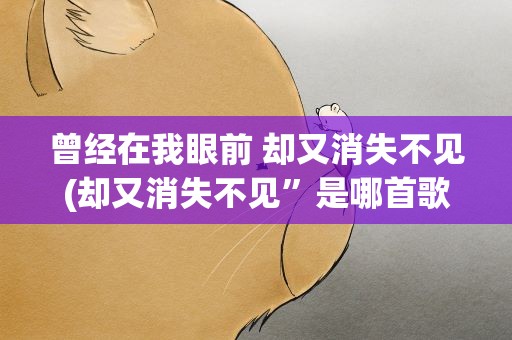 曾经在我眼前 却又消失不见(却又消失不见”是哪首歌的歌词)