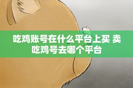 吃鸡账号在什么平台上买 卖吃鸡号去哪个平台
