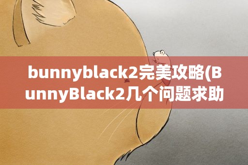 bunnyblack2完美攻略(BunnyBlack2几个问题求助)