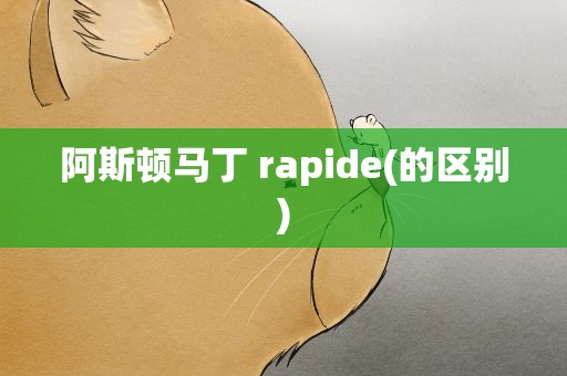 阿斯顿马丁 rapide(的区别)