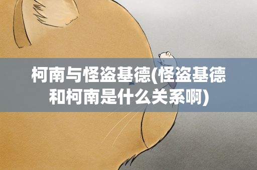 柯南与怪盗基德(怪盗基德和柯南是什么关系啊)