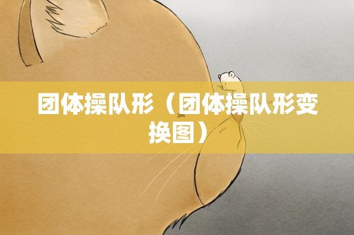 团体操队形（团体操队形变换图）