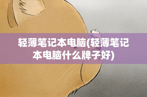 轻薄笔记本电脑(轻薄笔记本电脑什么牌子好)