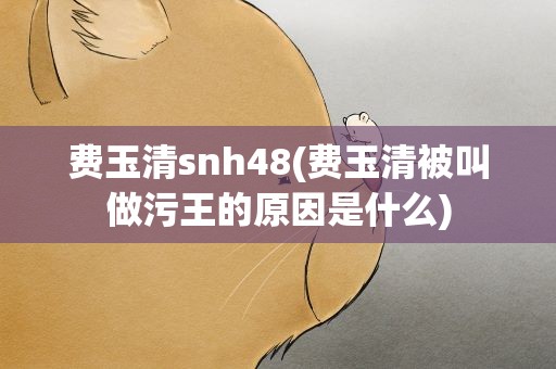 费玉清snh48(费玉清被叫做污王的原因是什么)