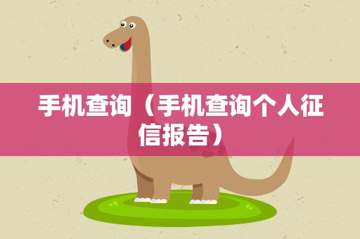 手机查询（手机查询个人征信报告）
