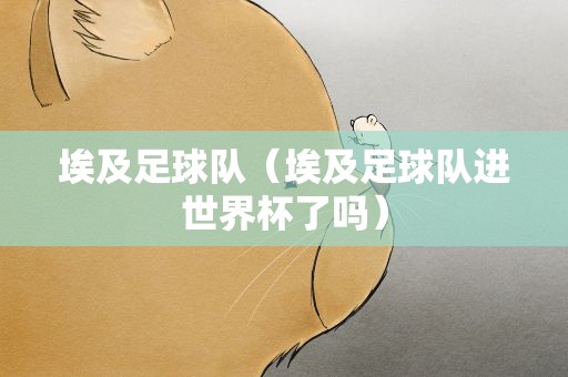 埃及足球队（埃及足球队进世界杯了吗）
