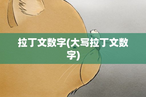 拉丁文数字(大写拉丁文数字)
