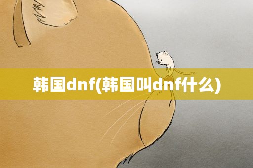 韩国dnf(韩国叫dnf什么)