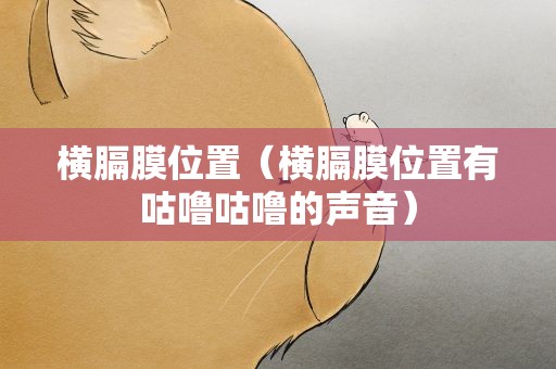 横膈膜位置（横膈膜位置有咕噜咕噜的声音）