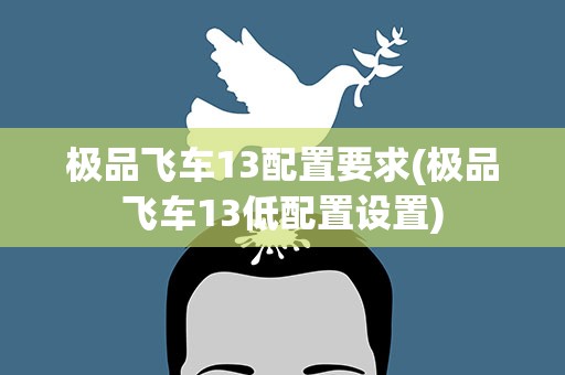 极品飞车13配置要求(极品飞车13低配置设置)