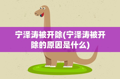 宁泽涛被开除(宁泽涛被开除的原因是什么)