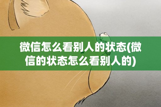 微信怎么看别人的状态(微信的状态怎么看别人的)
