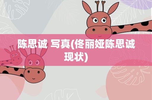 陈思诚 写真(佟丽娅陈思诚现状)
