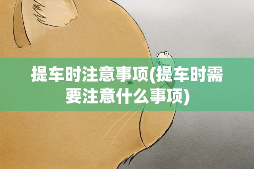 提车时注意事项(提车时需要注意什么事项)