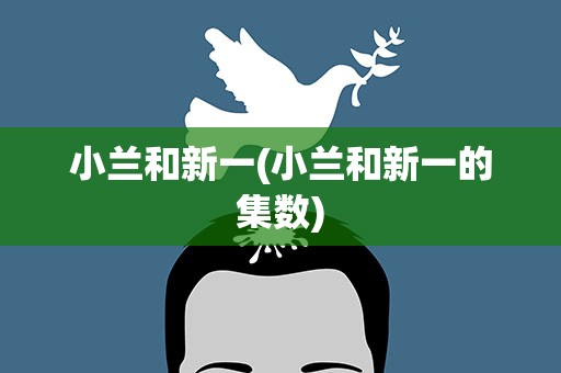小兰和新一(小兰和新一的集数)