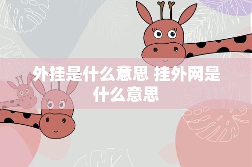 外挂是什么意思 挂外网是什么意思