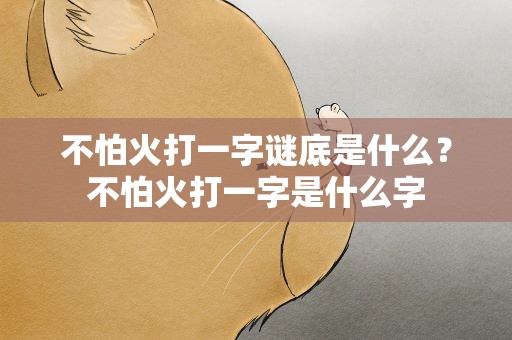 不怕火打一字谜底是什么？不怕火打一字是什么字