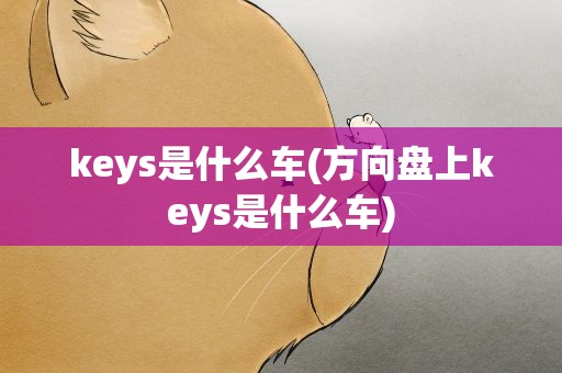 keys是什么车(方向盘上keys是什么车)
