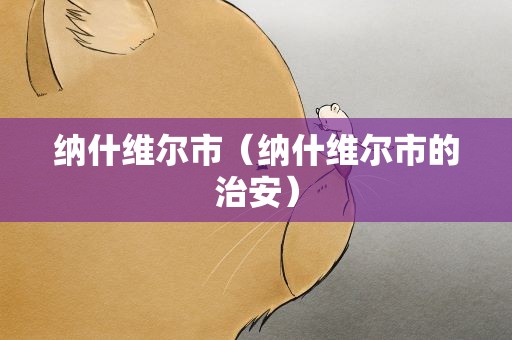 纳什维尔市（纳什维尔市的治安）