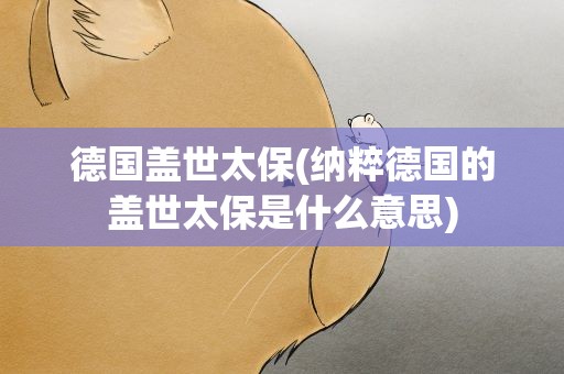 德国盖世太保(纳粹德国的盖世太保是什么意思)