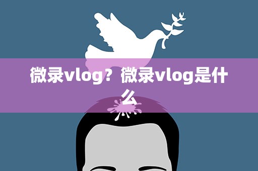 微录vlog？微录vlog是什么