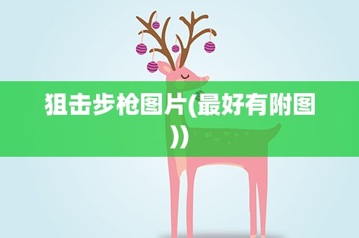 狙击步枪图片(最好有附图))