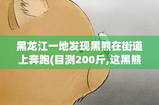 黑龙江一地发现黑熊在街道上奔跑(目测200斤,这黑熊会不会伤人)