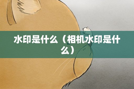 水印是什么（相机水印是什么）