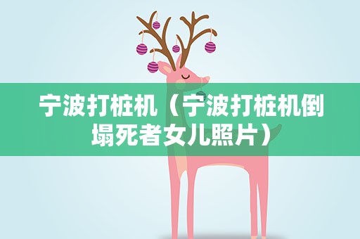 宁波打桩机（宁波打桩机倒塌死者女儿照片）