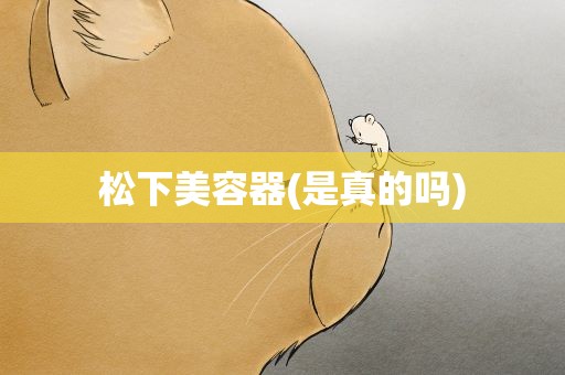 松下美容器(是真的吗)