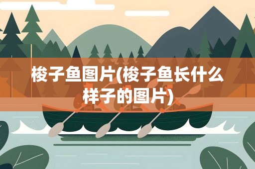 梭子鱼图片(梭子鱼长什么样子的图片)