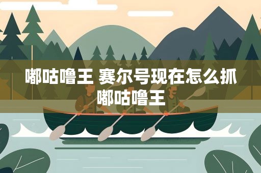 嘟咕噜王 赛尔号现在怎么抓嘟咕噜王