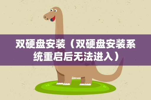双硬盘安装（双硬盘安装系统重启后无法进入）