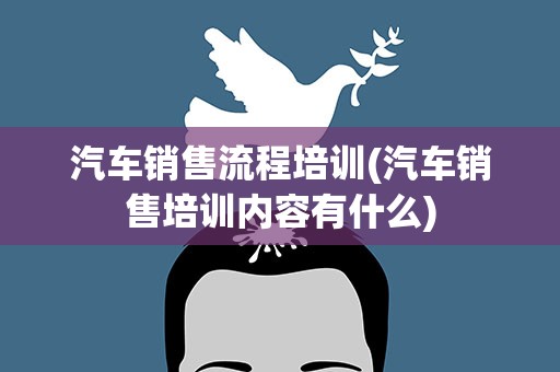 汽车销售流程培训(汽车销售培训内容有什么)