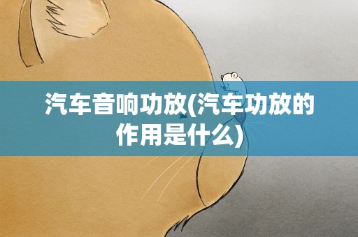 汽车音响功放(汽车功放的作用是什么)