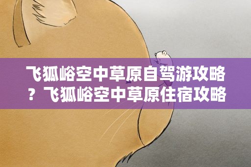 飞狐峪空中草原自驾游攻略？飞狐峪空中草原住宿攻略