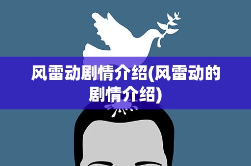 风雷动剧情介绍(风雷动的剧情介绍)