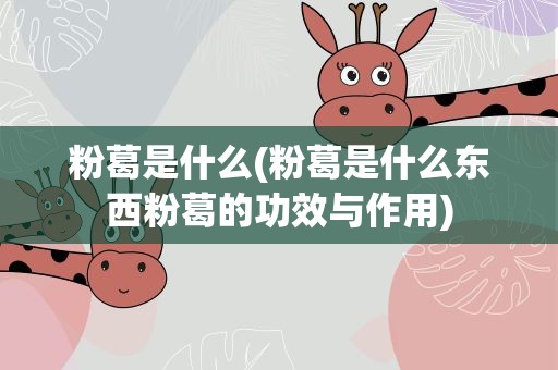 粉葛是什么(粉葛是什么东西粉葛的功效与作用)