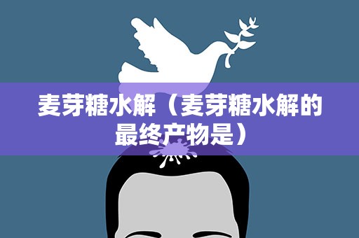 麦芽糖水解（麦芽糖水解的最终产物是）