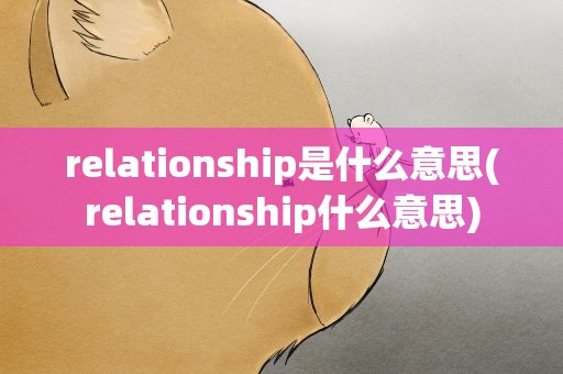 relationship是什么意思(relationship什么意思)