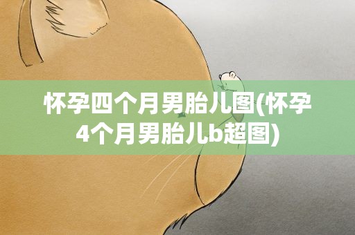 怀孕四个月男胎儿图(怀孕4个月男胎儿b超图)
