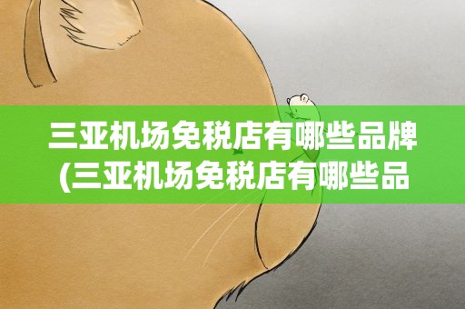 三亚机场免税店有哪些品牌(三亚机场免税店有哪些品牌包包)