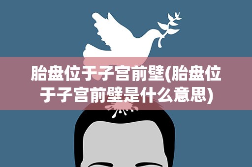 胎盘位于子宫前壁(胎盘位于子宫前壁是什么意思)
