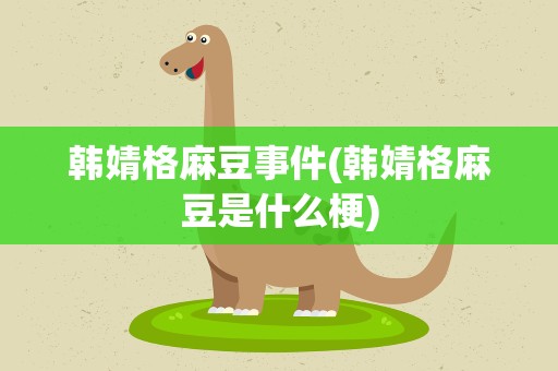 韩婧格麻豆事件(韩婧格麻豆是什么梗)