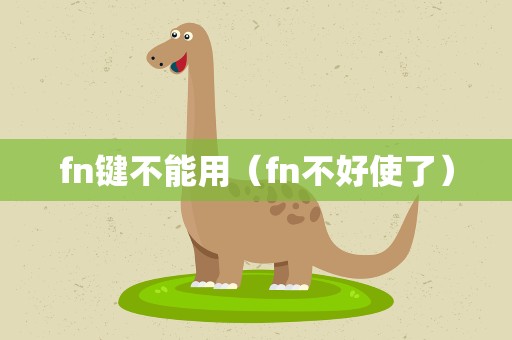 fn键不能用（fn不好使了）