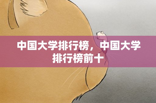 中国大学排行榜，中国大学排行榜前十