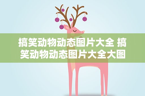 搞笑动物动态图片大全 搞笑动物动态图片大全大图